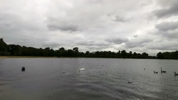 London hyde park eend panorama in bewolkte dag — Stockvideo