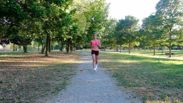 Treinamento Corredora Jovem Parque Verão Close Fitness Mulher Correndo Livre — Vídeo de Stock