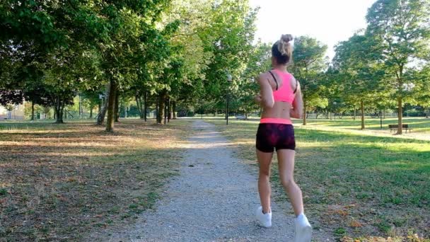 Corredora Joven Entrenando Parque Verano Cerrar Mujer Fitness Trotar Aire — Vídeo de stock