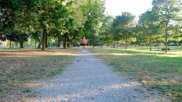 年轻女子赛跑选手在夏季公园的训练 一个健康的女人在户外慢跑 在公园跑完马拉松后 疲惫的女孩慢跑着呼吸 晨跑概念 — 图库视频影像