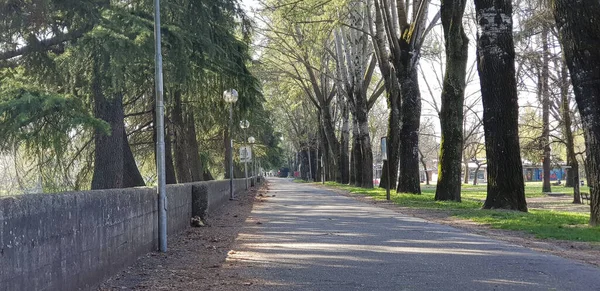 Belo Passeio Rio Crostolo Reggio Emilia Parque Cabras Centro Cidade — Fotografia de Stock