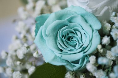 Düğün için güzel bir buket ve beyaz ve açık mavi Tiffany gülleriyle gelin.