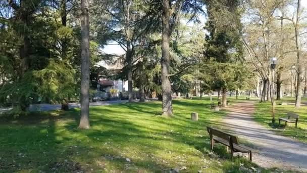Krásná Procházka Řece Crostolo Reggio Emilia Centrum Kozího Parku — Stock video