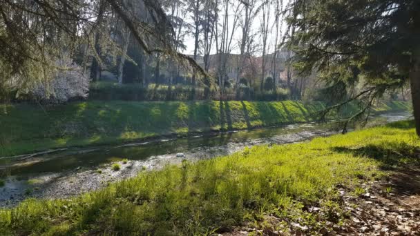 Hermoso Paseo Por Río Crostolo Reggio Emilia Centro Ciudad Parque — Vídeo de stock