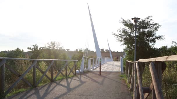 Gün Batımında Ahşap Geçitli Sassuolo Modena Nehri Üzerindeki Köprü — Stok video