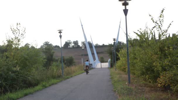 サスソロ モデナのセキア川に架かる橋です — ストック動画
