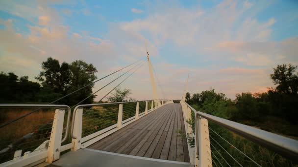 Bridge River Secchia Sassuolo Modena Wooden Walkway Sunset Cyclist — Stock Video