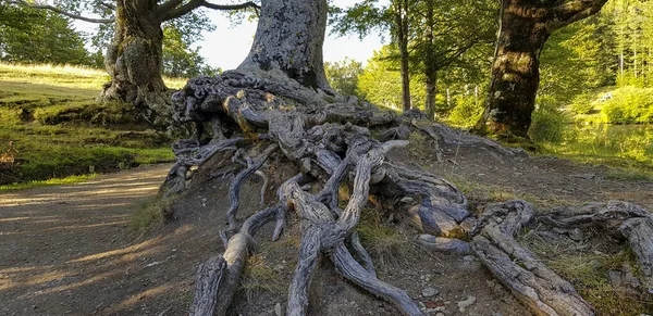 Ventasso Reggio Emilia Lac Montagne Colline Dans Une Belle Journée — Photo