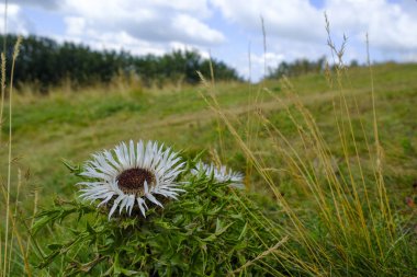 Ventasso Reggio Emilia, güzel güneşli bir günde dağ gölü ve tepe