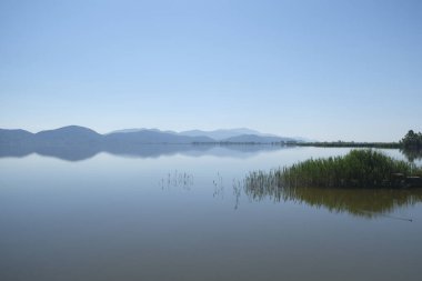 Torre del lago puccini viareggio lucca massaciucoli gölü kulesi ve pagoda