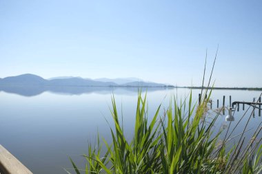 Torre del lago puccini viareggio lucca massaciucoli gölü kulesi ve pagoda