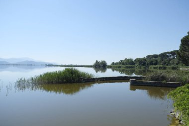Torre del lago puccini viareggio lucca massaciucoli gölü kulesi ve pagoda