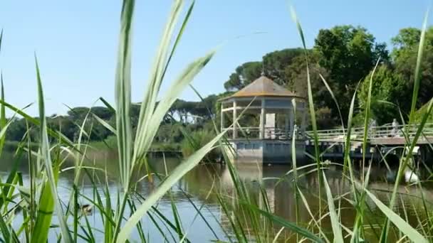 Panorama Des Torre Del Lago Puccini Viareggio Lucca Massaciucoli See — Stockvideo