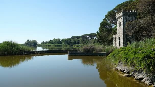 Panorama Della Torre Del Lago Puccini Viareggio Lucca Massaciucoli Lago — Video Stock