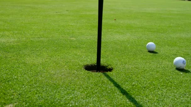 Veld doet golf gat en bal die gaat in het gat — Stockvideo
