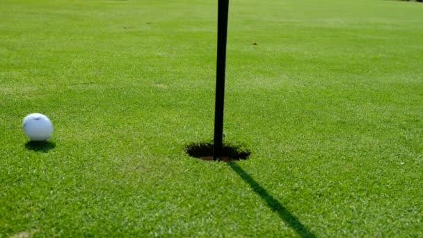 Campo hace hoyo de golf y pelota que entra en el hoyo — Vídeos de Stock