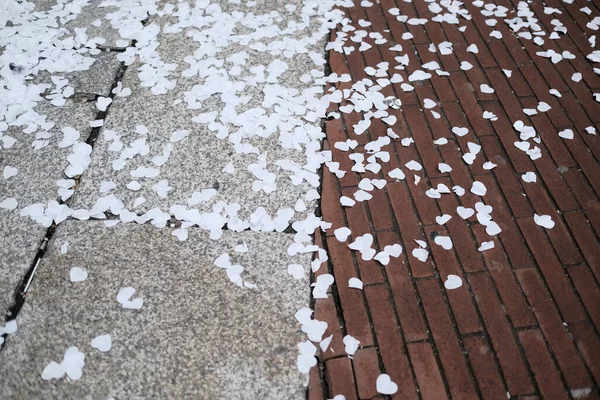 Confettis et coeurs abattus sur le trottoir de l'église après mariage après mariage couple — Photo