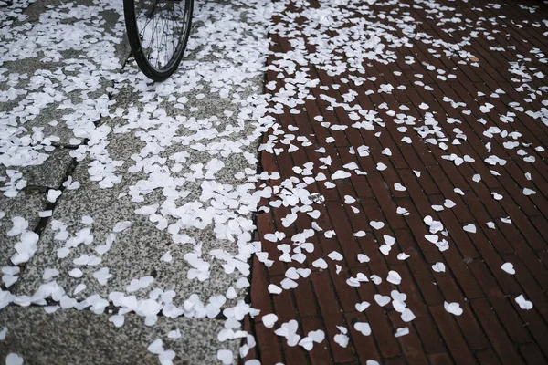 Confettis et coeurs abattus sur le trottoir de l'église après mariage après mariage couple — Photo