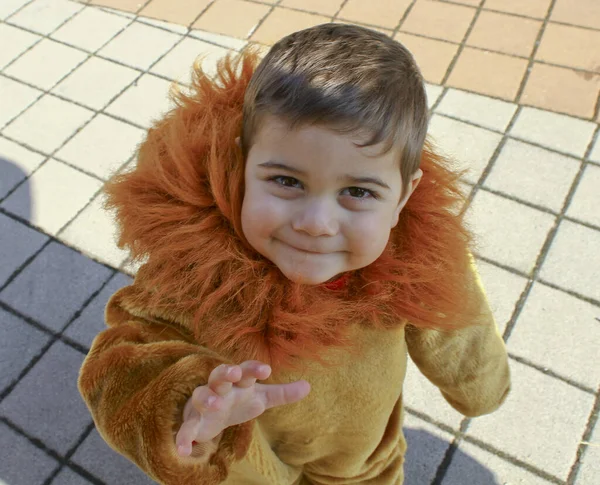 Hermoso niño italiano en el carnaval con traje de león con confeti y melena —  Fotos de Stock