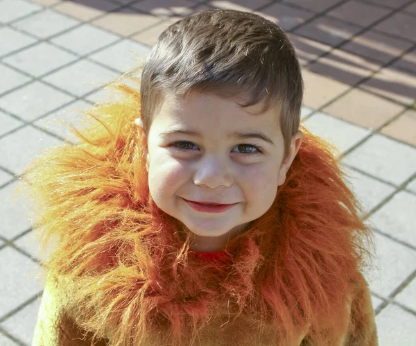 Hermoso niño italiano en el carnaval con traje de león con confeti y melena —  Fotos de Stock