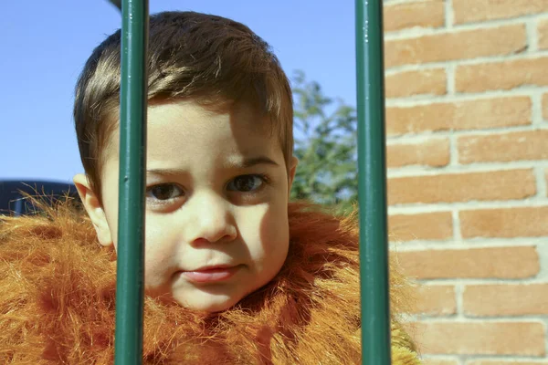 Hermoso niño italiano en el carnaval con traje de león con confeti y melena —  Fotos de Stock