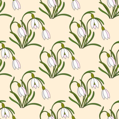 Nazik kardelen ile modern illüstrasyon vektör.