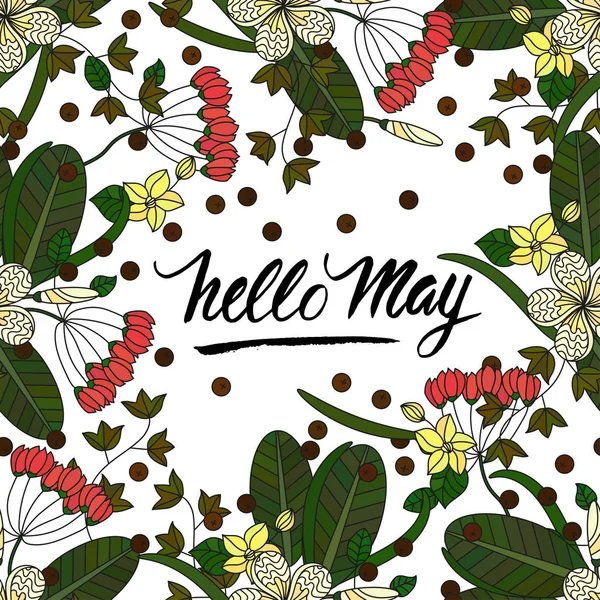 Color vector postcard with unique script brush lettering. Hello May. — Stock Vector