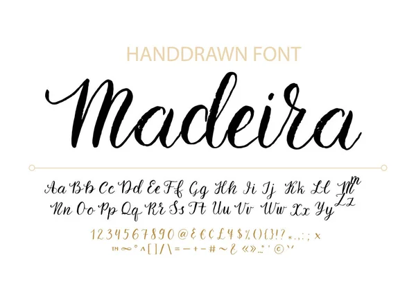 Handdrawn Vector Script font.  Brush style textured calligraphy cursive typeface. — Stock Vector
