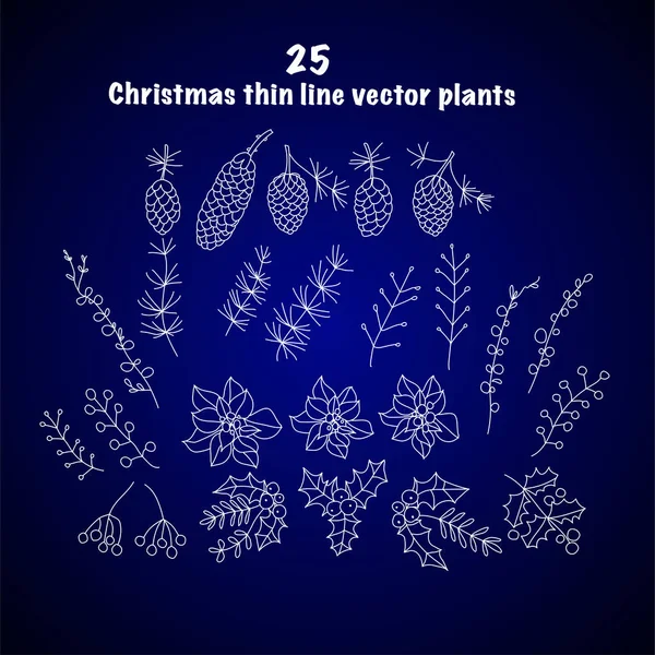 Набор из 25 рождественских ботанических символов . — стоковый вектор