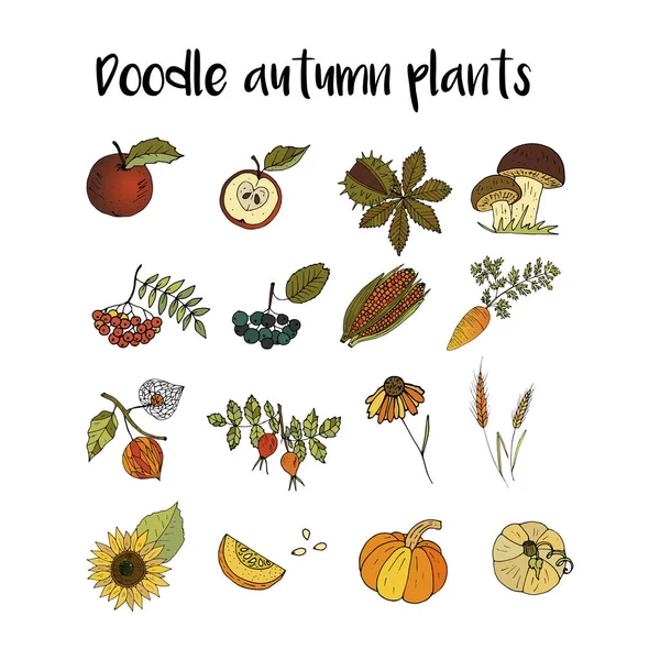 Big set of handdrawn unique autumn icons. — Stock Vector