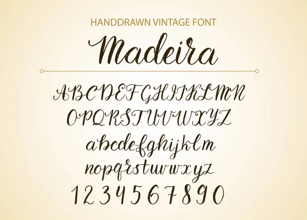 Handdrawn vektor Script typsnitt. Borste stil texturerat kalligrafi cursive typsnitt. — Stock vektor