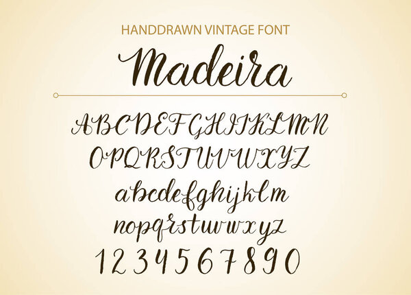 Handdrawn Vector Script font.  Brush style textured calligraphy cursive typeface.