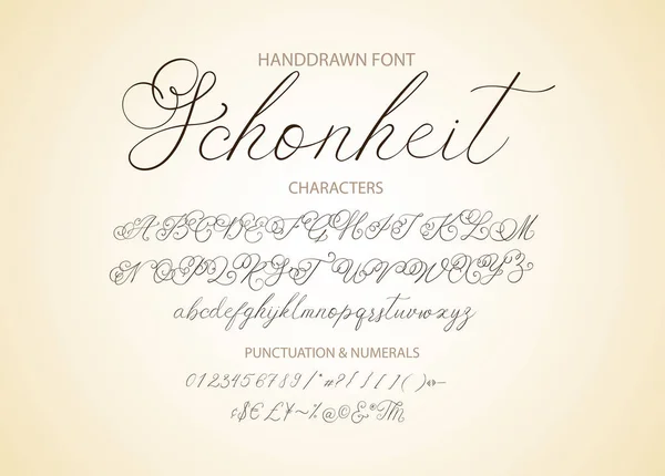 Moderne kalligrafische lettertype. Penseel geschilderd brieven. — Stockvector