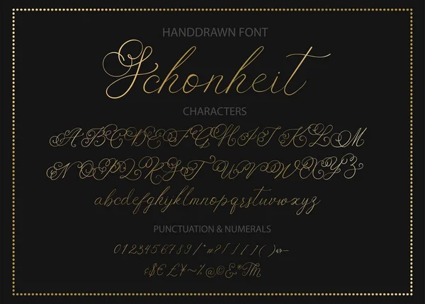 Moderne kalligrafische lettertype. Penseel geschilderd brieven. — Stockvector