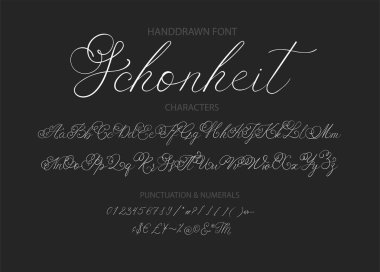 Modern calligraphic font. Brush painted letters. clipart