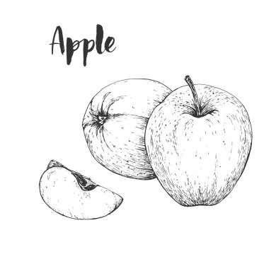 Vektör domates handdrawn Dikişsiz desen gravür tarzında.
