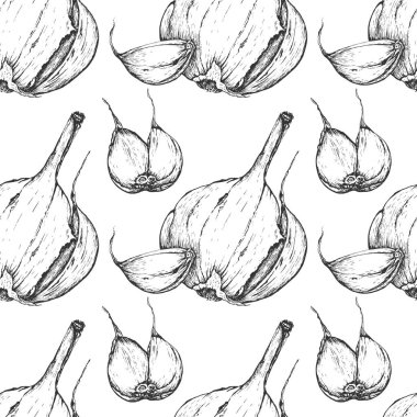 Vektör sarımsak handdrawn Dikişsiz desen gravür tarzında.