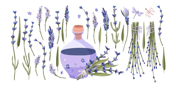 Provence çiçek vektör kümesi. — Stok Vektör