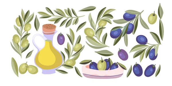 Olive plant isolated vector set. — Stok Vektör