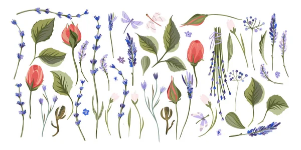 Conjunto vetorial floral Provence . — Vetor de Stock