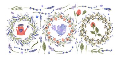 Provence çiçek vektör kümesi.