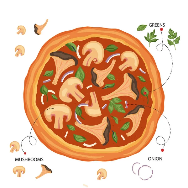 Italian cheese mushroom pizza vector. — Stockový vektor