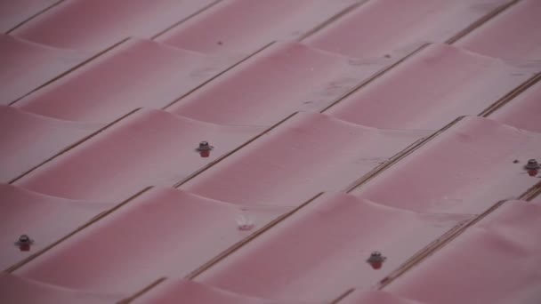 Pioggia gocciolante sul tetto di metallo . — Video Stock