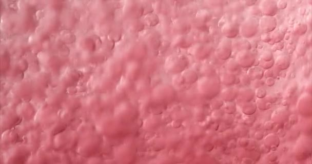 Burbujas púrpuras en agua. Primer plano de vídeo de burbujas en líquido . — Vídeos de Stock