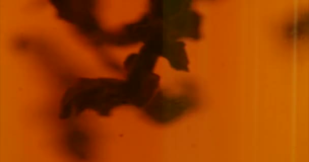 Je prépare du thé. Thé dans une tasse gros plan. Boisson chaude .