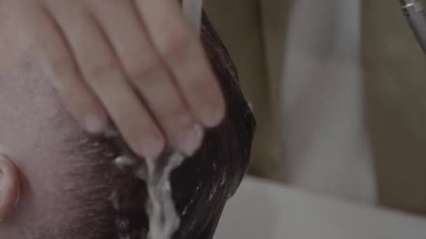 Capelli puliti. Lavati i capelli prima di tagliarli . — Video Stock