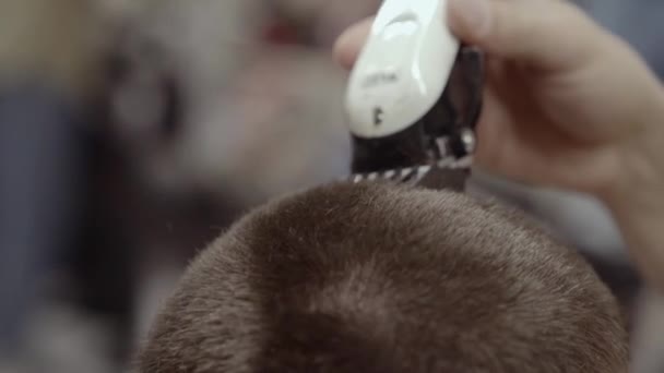 Corte de cabelo barbeador elétrico. Corte de cabelo dos homens em uma barbearia . — Vídeo de Stock