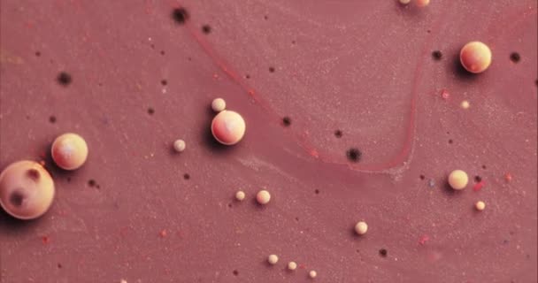 Fantastiska flerfärgade rosa bubblor av färg på oljans yta. — Stockvideo