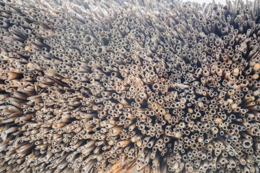 saman doku arka plan