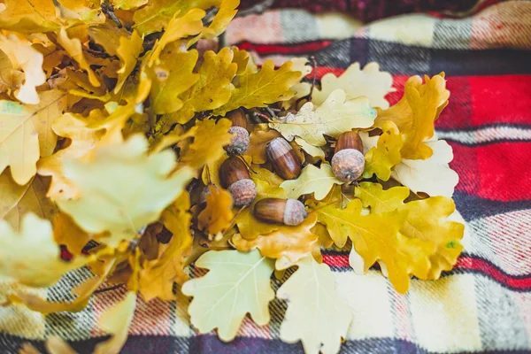 Autumn yellow oak leaves on a cover — Stock Photo, Image